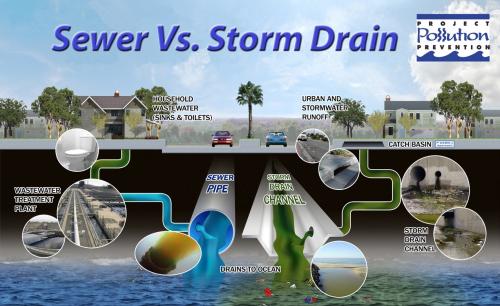 Sewer Vs. Storm Drain Diagram